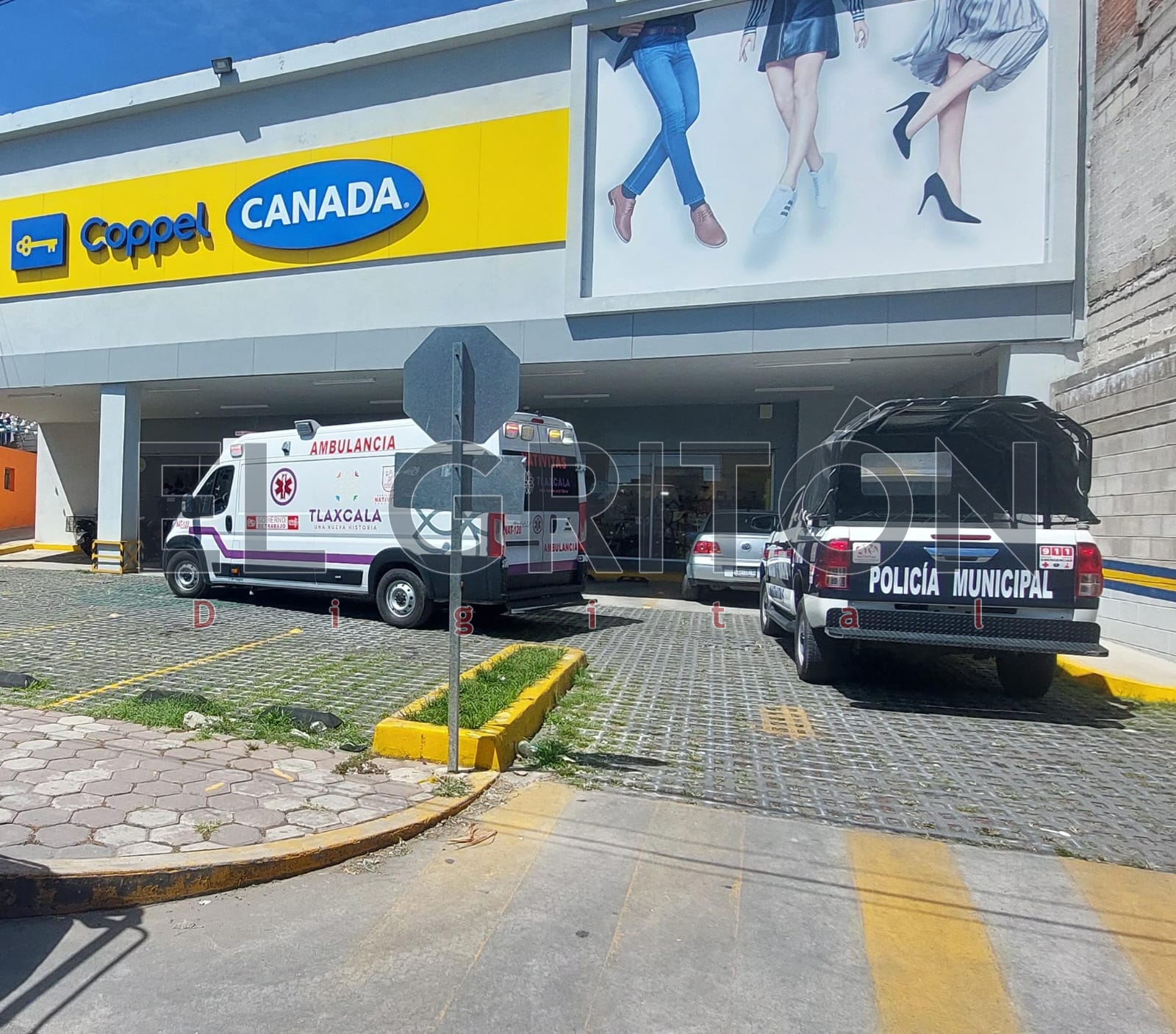 Coppel canada ozumbilla