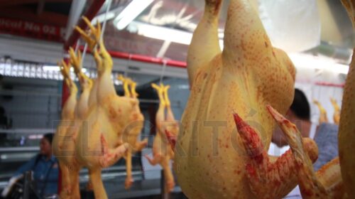 Pérdidas económicas golpean a vendedores de pollo en la capital