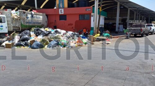 ¡Un cochinero! Pésimo servicio de recolección y limpia en Zacatelco tiene al mercado municipal hundido en la basura