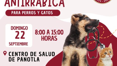 Se llevará a cabo jornada de vacunación antirrábica canina y felina en Panotla