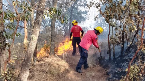 Controlado fuerte incendio forestal en Tlaxco: saldo blanco