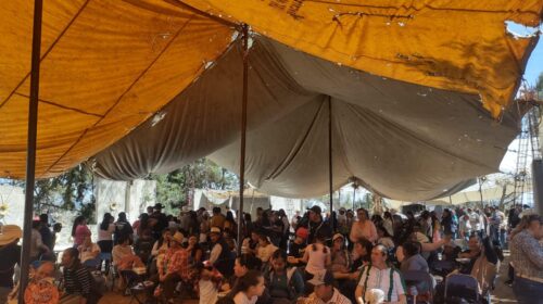 Conmemoran en Lázaro Cárdenas el Día de San Isidro Labrador, símbolo de fe y orgullo campesino