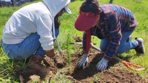 Inicia en Tetlanohcan el proyecto “Enverdecer los Panteones” en el marco del Día Mundial del Medio Ambiente