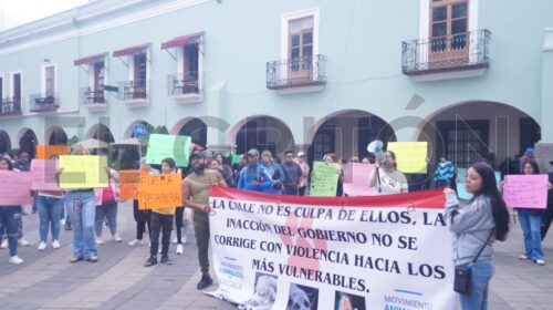 Postura Oficial ante la Gestión de la Población Canina Callejera en el Municipio de Tlaxcala