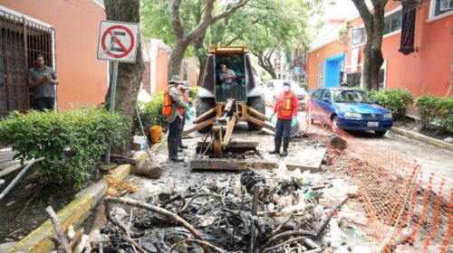 Como acción preventiva la Capam desazolva canal subterráneo en la calle del vecino en la capital