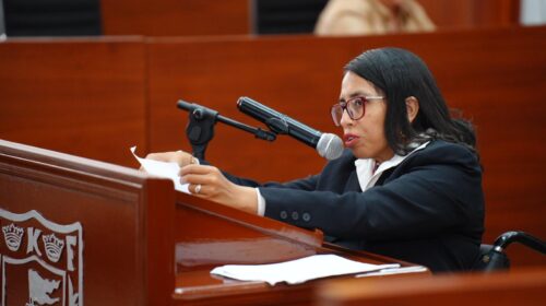 Propone Gabriela Hernández Islas fortalecer las Secretarías Ejecutivas de los SIPINNA municipales