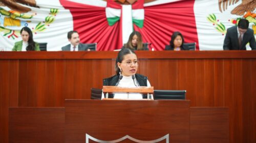 Propone Anel Martínez transparencia en sesiones de cabildo