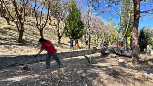 Poda y limpia Ayuntamiento de Tlaxcala Av Puebla para recibir mejor al turismo