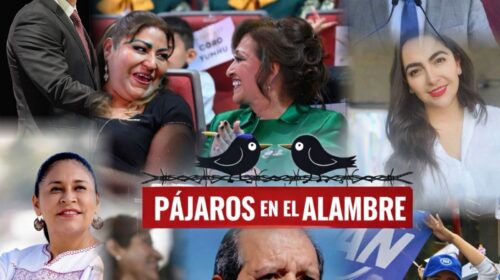 Pájaros en el Alambre