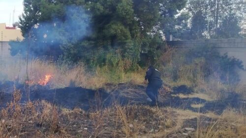 Policías municipales de Tlaxcala sofocan incendio cerca de una institución educativa