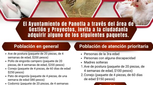 Panotla impulsa la economía familiar con paquetes de animales de tras patio