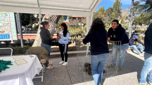 Huamantla impulsa el bienestar animal con éxito en la jornada “Adopta un Amigo”