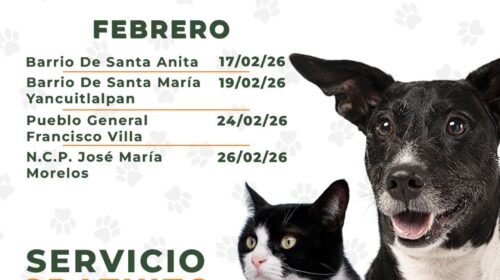 Gobierno municipal de Huamantla fortalece el bienestar animal con jornadas de esterilización 