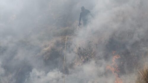 Pronta intervención de la dirección de seguridad pública y protección civil permite sofocar dos incendios de pastizal en Huamantla