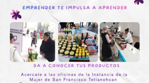 Impulsa Gobierno Municipal de Tetlanohcan integración de mujeres a la Red Estatal de Emprendedoras