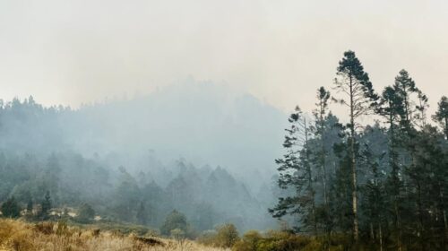 Incendios forestales en Tlaxco se encuentran controlados