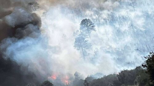 Incendio forestal arrasa flora y fauna en límites de Tlaxcala y Puebla