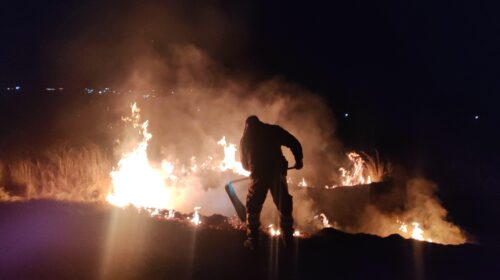 Sofocan incendio de pastizal en carretera Benito Juárez-El Valle