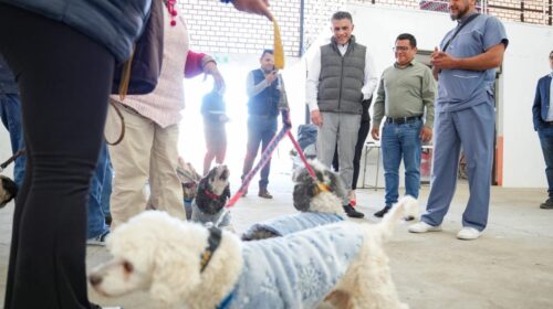 Gobierno de Alfonso Sánchez García lleva a Loma Bonita jornada gratuita de vacunación, desparasitación y esterilización para perros y gatos