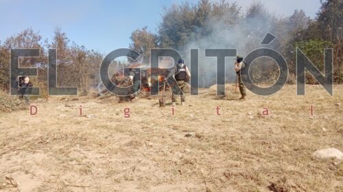 Súper operativo contra la tala ilegal en La Malinche: inhabilitan seis hornos clandestinos de carbón en San Pablo del Monte