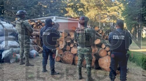 En operativo coordinado aseguran 36 piezas de madera talada de manera ilegal en La Malinche en municipio de Mazatecochco