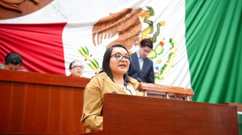 Busca Laura Yamili Flores regular la gestación subrogada para evitar explotación reproductiva