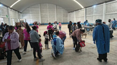 Realizan 119 esterilizaciones en la comunidad de Xicoténcatl