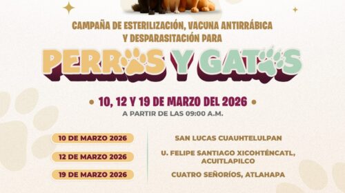 Ayuntamiento de Tlaxcala realizará nueva etapa de esterilización, vacunación y desparasitación canina y felina
