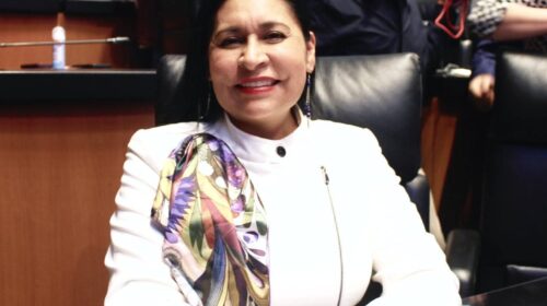 Sheinbaum necesita mayor respaldo de gobernadores y alcaldes para enfrentar los retos del país: Ana Lilia Rivera