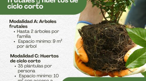 Impulsa Gobierno de Tetlanohcan programa de árboles frutales y huertos de ciclo corto en coordinación con la Secretaría del Medio Ambiente