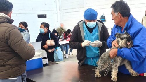 En acción coordinada ayuntamiento de Tlaxcala y la Sesa podrán en marcha la campaña nacional de vacunación antirrábica canina y felina