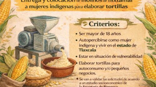 Impulsa Gobierno de Tetlanohcan el bienestar de las mujeres con programa de Molinos Familiares