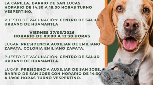 Tendrá Huamantla jornada de vacunación antirrábica canina y felina