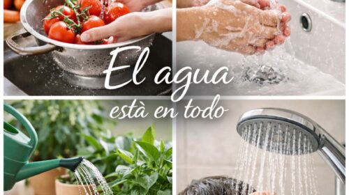 El agua está en todo