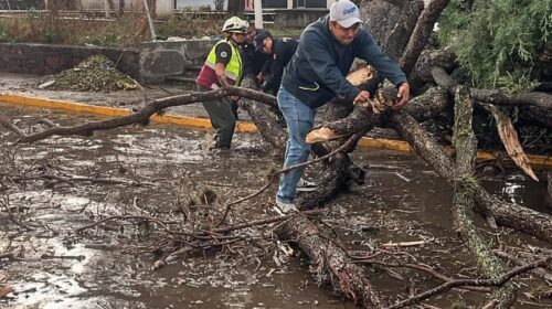 Brigadas de “Más territorio y menos escritorio” responden ante nueva precipitación pluvial y reportan mínimas afectaciones en la capital