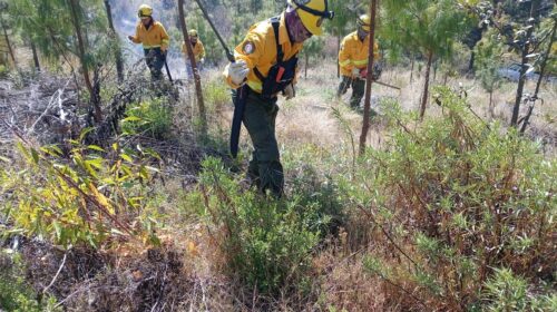 Refuerzan Tlaxco y CONAFOR acciones preventivas contra incendios forestales