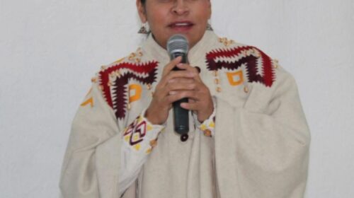 No es tiempo de simulaciones, sino de acompañar a la Presidenta: Ana Lilia Rivera