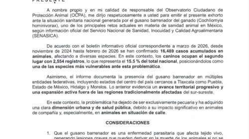 Exhortan a autoridades de Tlaxcala a prepararse ante riesgo de gusano barrenador en animales de compañía y en situación de calle