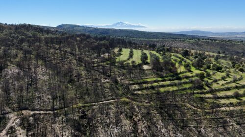 Gobierno Estatal ha invertido 9.9 mdp para recuperar Atltzayanca tras incendio de 2025