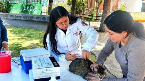 Ayuntamiento de Tlaxcala dará continuidad a campaña antirrábica para mascotas que no fueron vacunadas en marzo