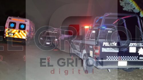 Comando armado arrasa rancho en Terrenate: con engaño someten a empleado y se roban más de 70 cabezas de ganado