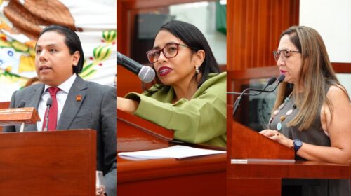 Presentan iniciativa para garantizar acciones afirmativas en favor de personas con discapacidad en candidaturas electorales