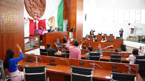 LXV Legislatura emite exhorto a ayuntamientos para crear Centros de Atención Canina y Felina