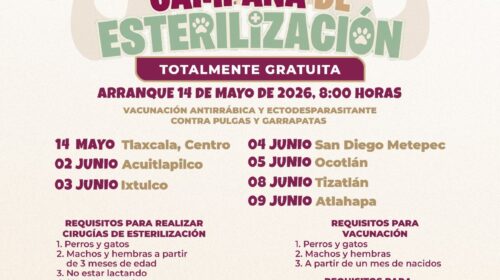 Gobierno de Alfonso Sánchez García impulsa nueva campaña gratuita de esterilización y vacunación animal