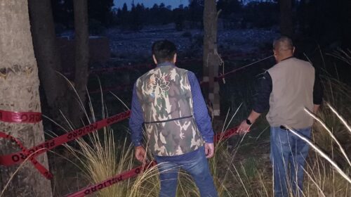 Atiende Propaet presunto maltrato animal difundido en redes sociales