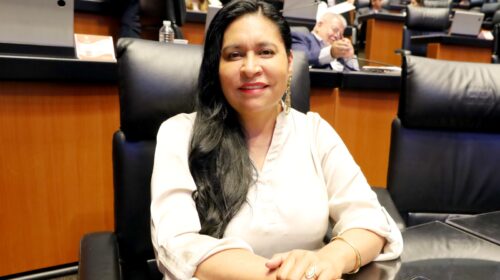 ¡Fuera criminales y ratas del poder! Ana Lilia Rivera va por elecciones limpias y sin infiltrados