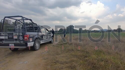 Despojan a campesino de 38 borregos, en Hueyotlipan