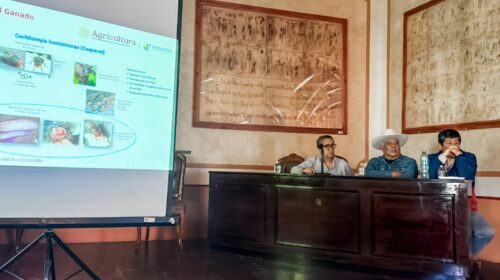 En reunión interinstitucional en el ayuntamiento de Tlaxcala, autoridades acuerdan fortalecer acciones preventivas contra el gusano barrenador