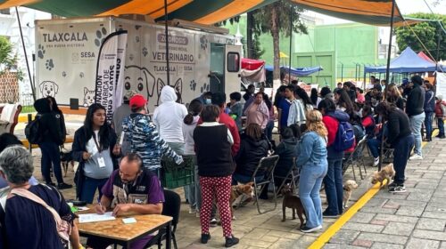 Gobierno de Alfonso Sánchez García realiza exitosa jornada de esterilización canina y felina en Ocotlán