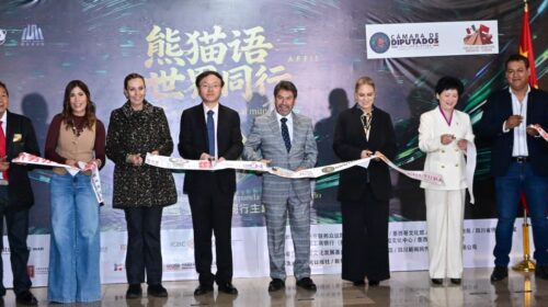 Inaugura Ray Vázquez Conchas la exposición “El arte del panda conecta al mundo” de Wei Xintian
